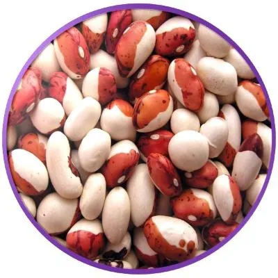 芸豆 PNG免抠(400x400)