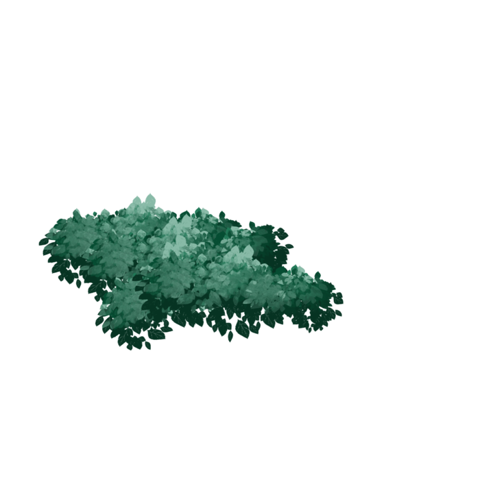 树木树枝树叶免扣素材