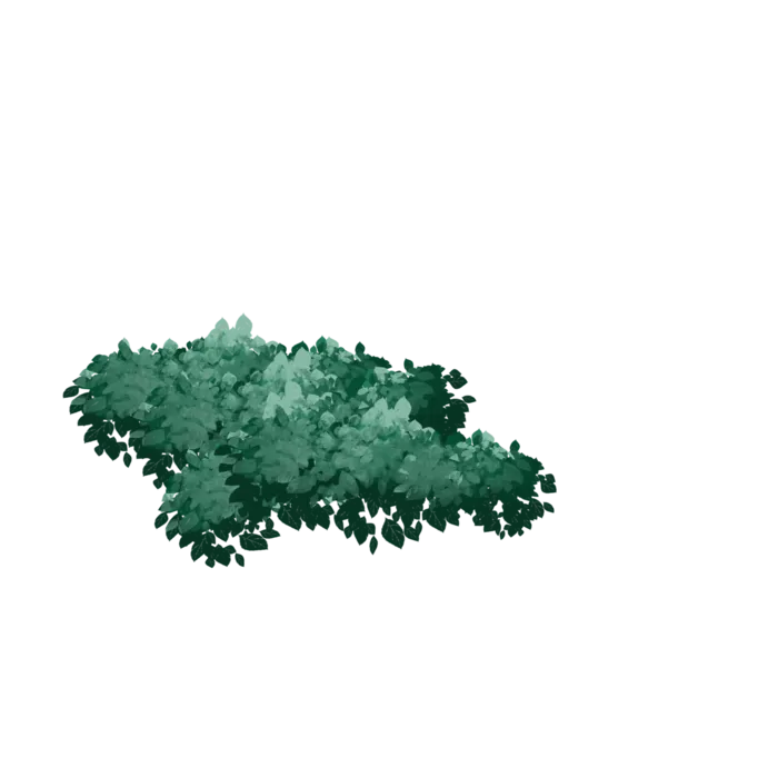 树木树枝树叶免扣素材