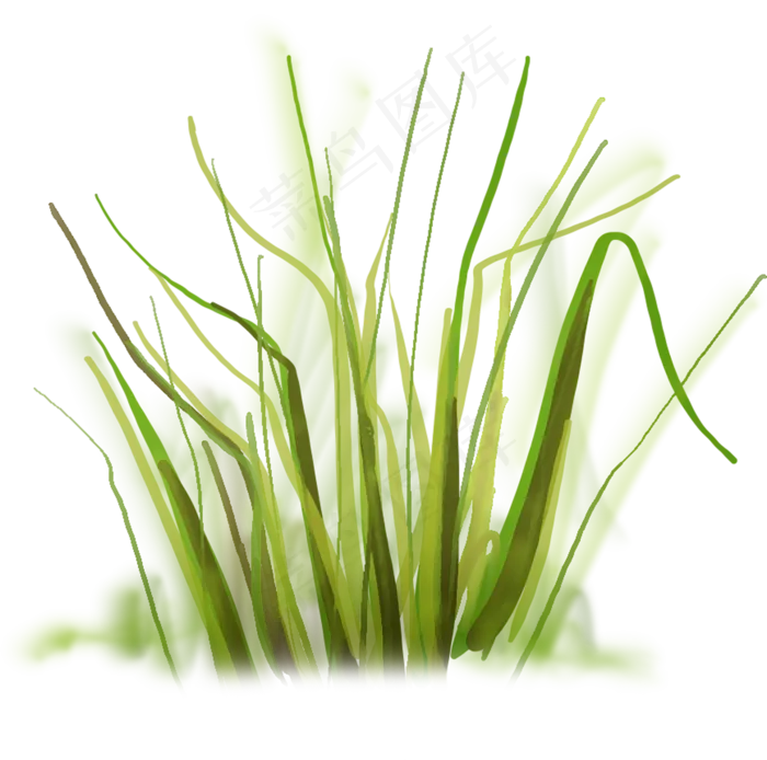小草免抠　