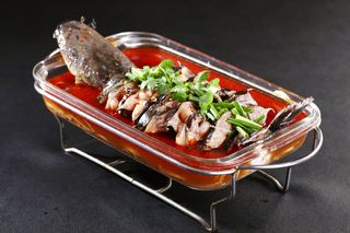 H00096妙手鲶鱼王 (3)