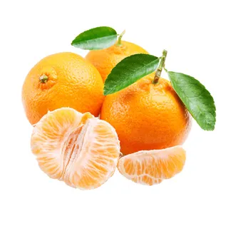 免抠橘子实物摄影图片