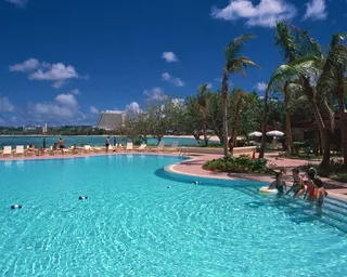 游泳池边上的椰树林