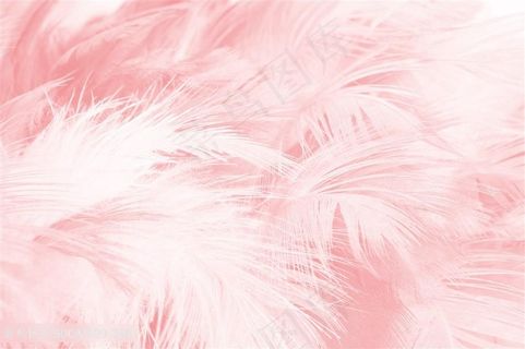 粉色羽毛小清新背景底纹高清素材图片