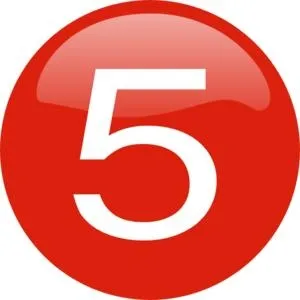 5 号 PNG免抠(300x300)