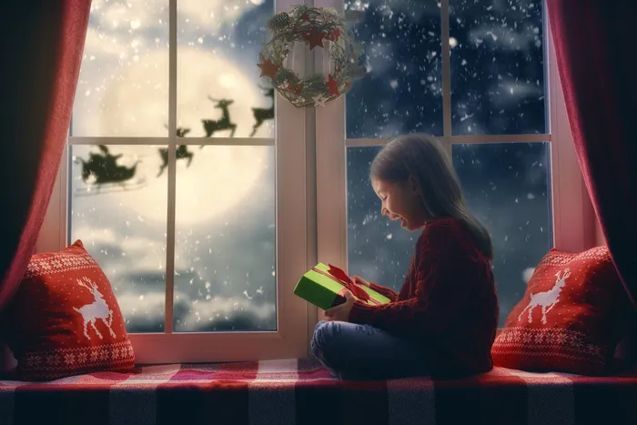 圣诞节装饰窗户门冬天新年装饰室内外场景(34)