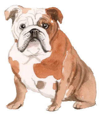 狗狗水彩画插画免扣素材可爱宠物狗