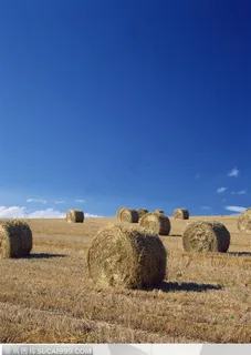 美丽天空-打好包的草堆