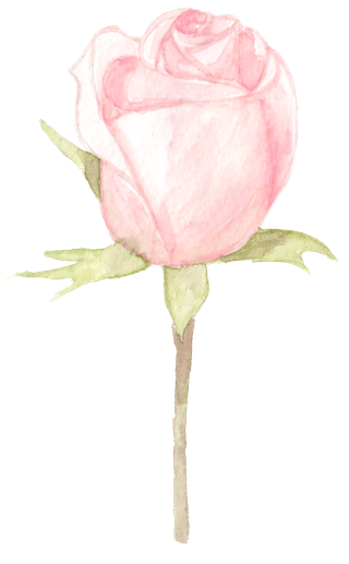 唯美森系手绘水彩花朵 免抠