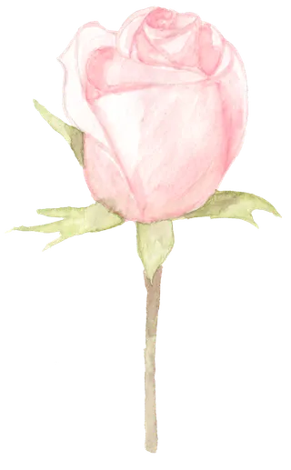 唯美森系手绘水彩花朵 免抠