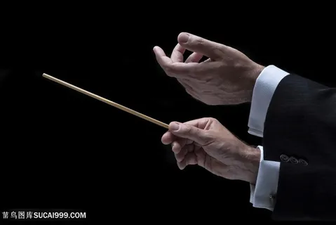 拿指挥棒音乐指挥手势图片