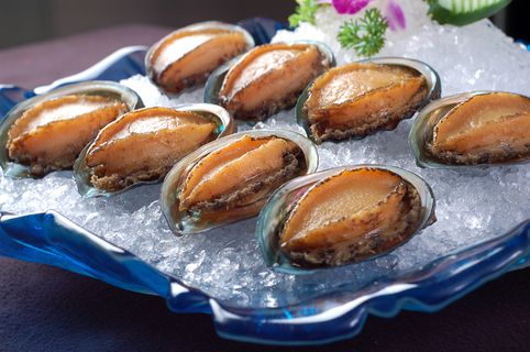 XCS056刺身-五星冻鲍鱼