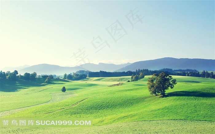 青山绿草的田园风光