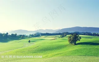 青山绿草的田园风光