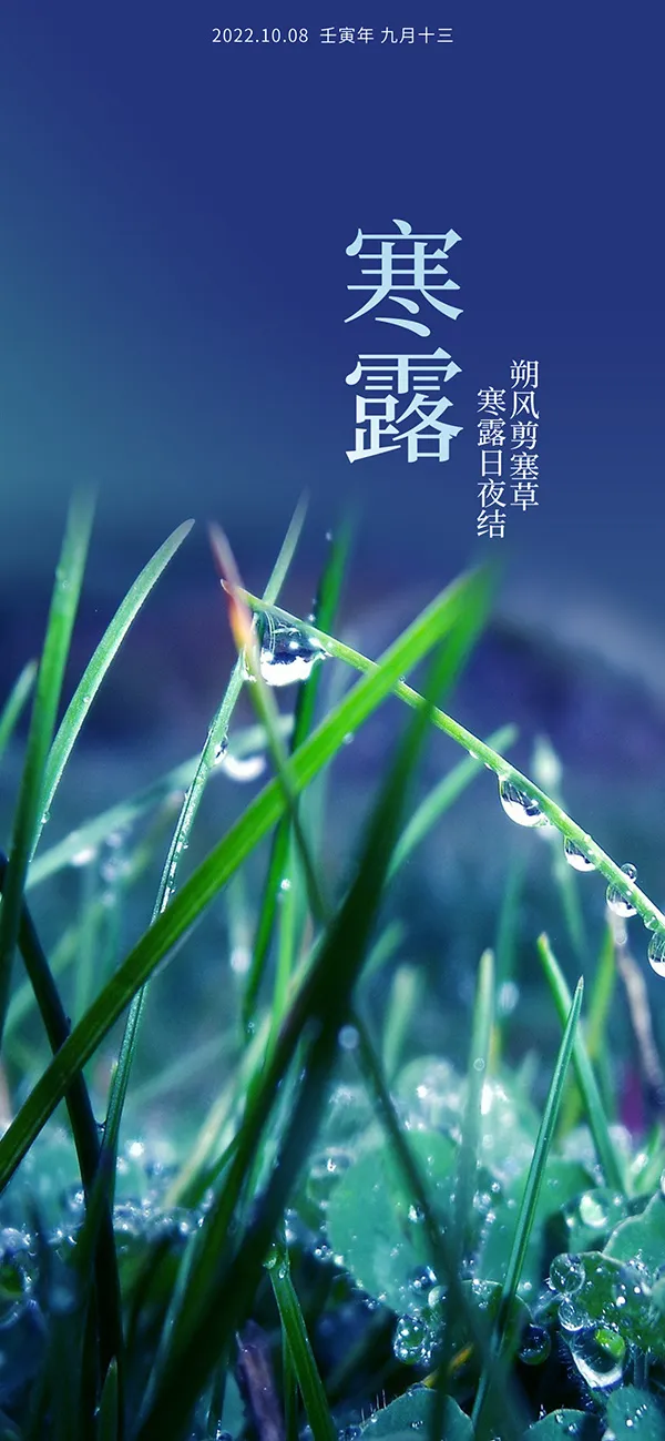 中国风蓝色寒露移动端海报