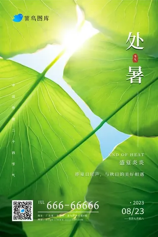 处暑阳光清新荷叶大气清爽节气海报