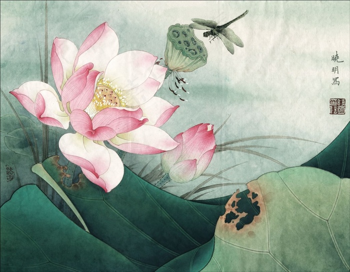 暖风荷花工笔画