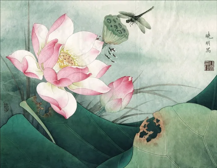 暖风荷花工笔画