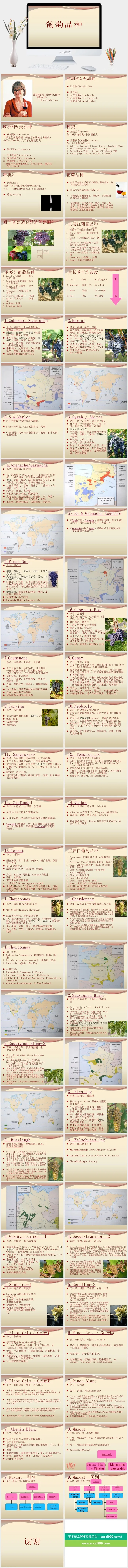 红酒葡萄酒知识培训宣传介绍PPT模板