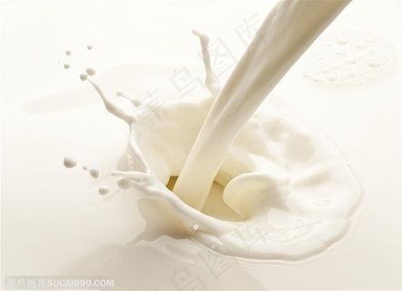 牛奶溅起的奶花高清图片 牛奶溅起的奶花高清图片
