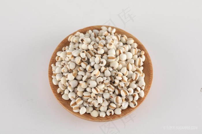 薏米仁摄影素材
