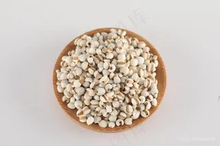 薏米仁摄影素材