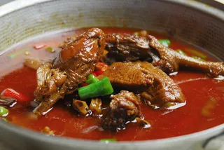 0911XC-851湘西土匪鸭