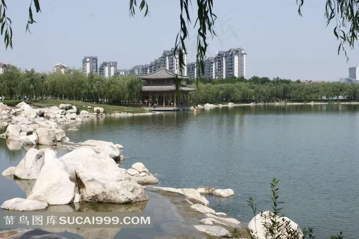 美丽的曲江园林风景