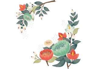 花朵|装饰|免扣元素|多色