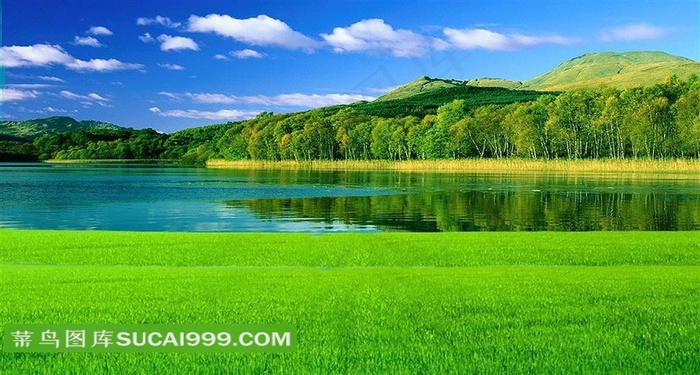 蓝天白云下的草地湖泊风景图片