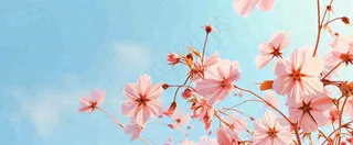 唯美粉色樱花花瓣春天浪漫梦幻蓝色，春分惊蛰摄影图