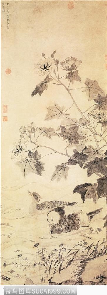 花鸟篇-湖水中鸳鸯