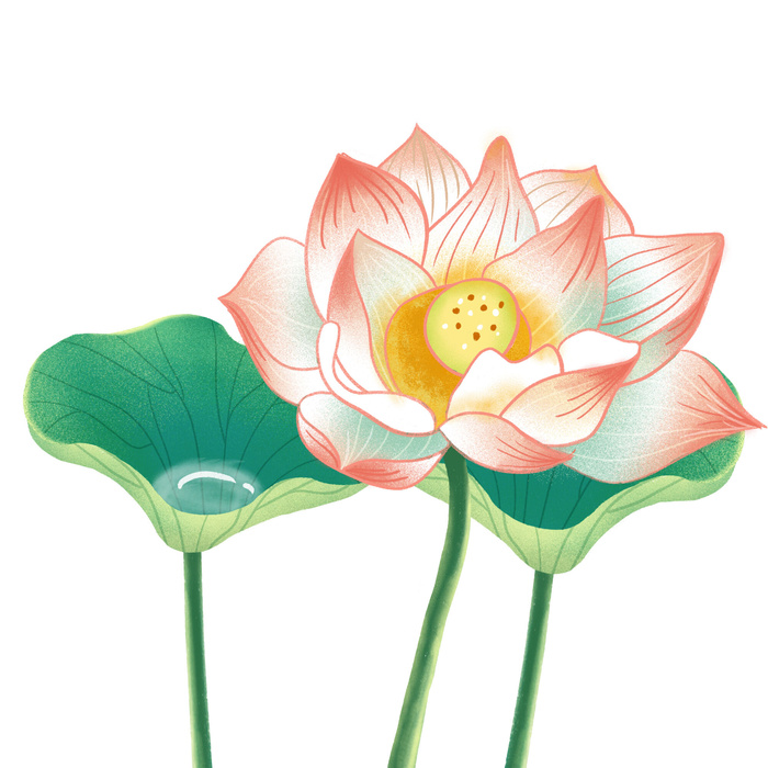 国潮中国风手绘荷花莲花荷叶莲藕植物花卉装饰插画PSD设计素材