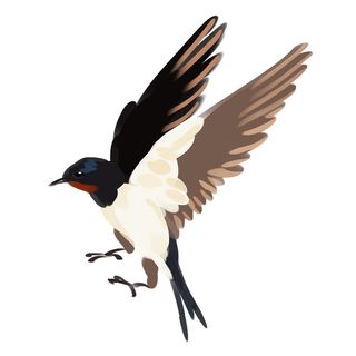 水彩手绘春季春天柳树柳条枝条小鸟小燕子元素PSD设计素材PNG图片