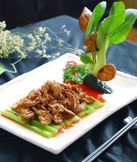 XCXC0019XO酱爆螺片