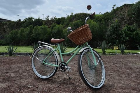 清新女士自行车图片