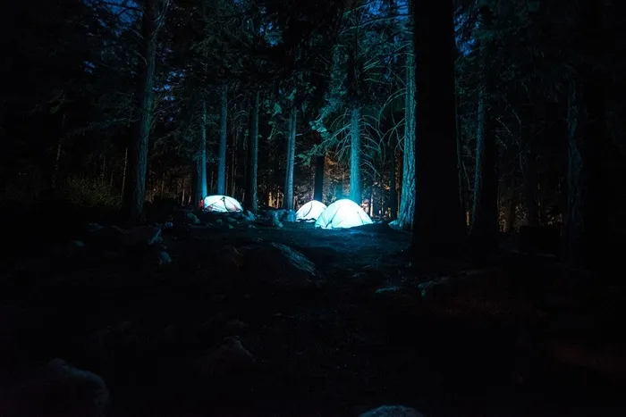 夜晚树林里亮着灯的帐篷