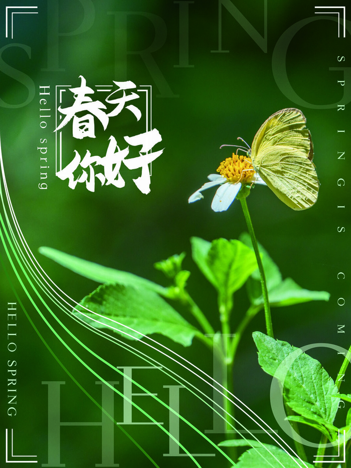24节气立春春季新春春天海报模板PSD分层设计素材源文件模板