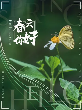 24节气立春春季新春春天海报模板PSD分层设计素材源文件模板