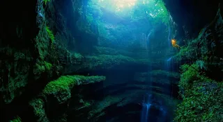 唯美森林高清风景图片