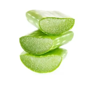 芦荟 PNG免抠