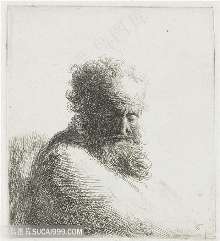 伦勃朗素描线稿胡须男士老者装饰画