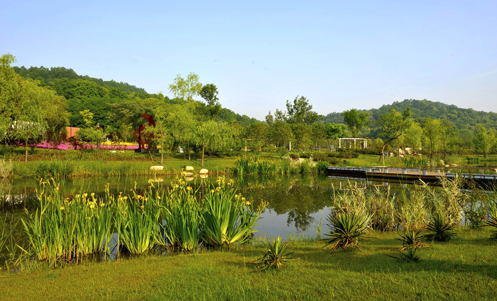 安徽芜湖风景图片-第5张