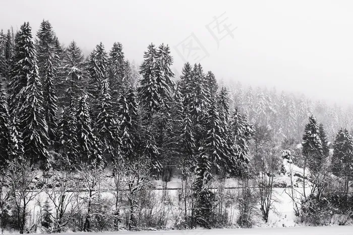 冬季雪山景观黑白图片