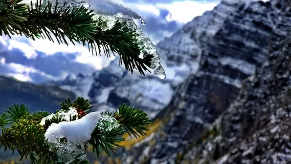 冬天自然背景风景 冬天自然背景风景