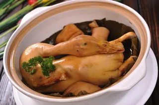 田园生态鸭79会员76