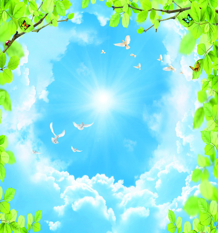 蓝天白云鸽子背天花板