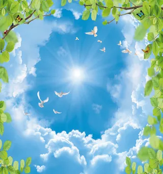 蓝天白云鸽子背天花板