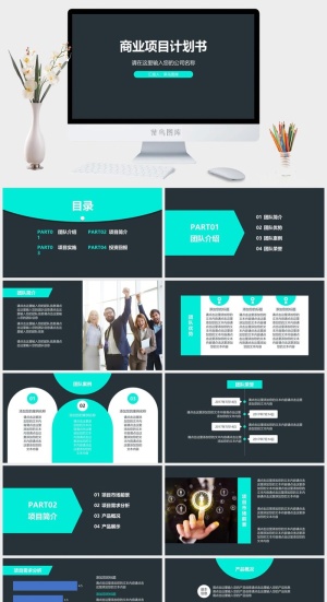 商业项目计划书预览图