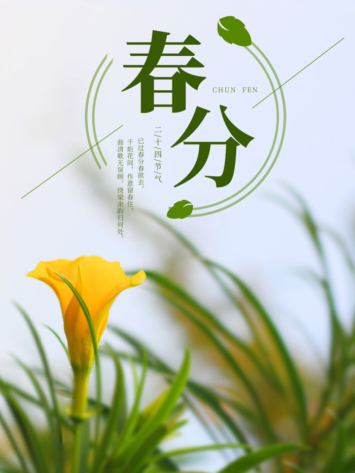 春分二十四节气传统中国风插画高清活动海报展板PSD模板素材